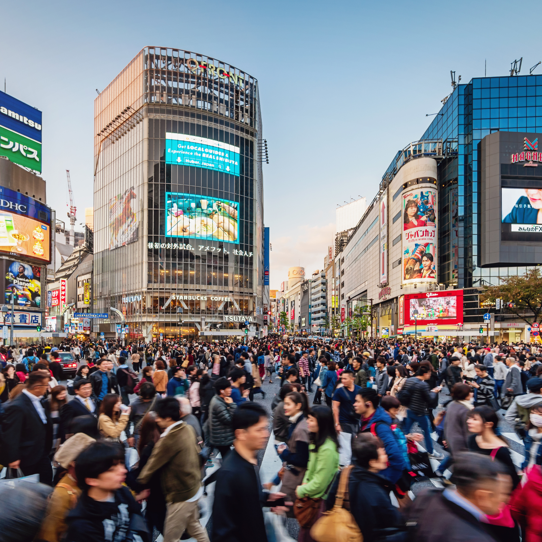 Branding and Marketing